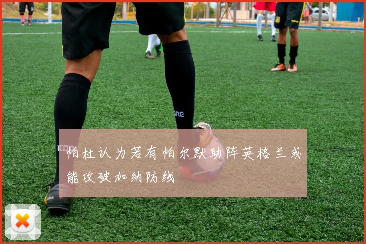 帕杜认为若有帕尔默助阵英格兰或能攻破加纳防线