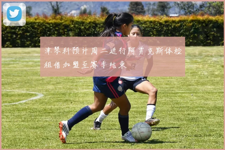 津琴科预计周二进行阿贾克斯体检租借加盟至赛季结束