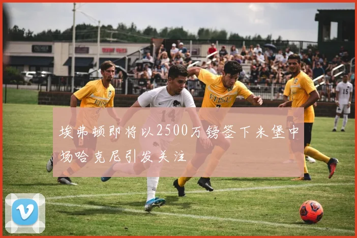 埃弗顿即将以2500万镑签下米堡中场哈克尼引发关注